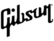 Gibson CEO Cesar Gueikian Transitions to Board Role; Anne Rohosy Named Interim