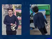 Hamilton Police Seek Arson Suspect; Man Charged in Markham Carjacking