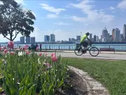Heat Warning Issued for Windsor-Essex Region Amid High Temperatures