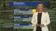 Hot and Humid Days Ahead in London, Rain Expected This Weekend