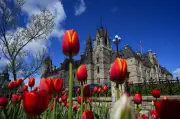 House of Commons Passes Bill Criminalizing Forced Sterilization