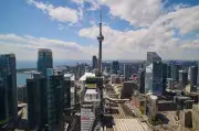 How Toronto Employers Handle Remote Work Requests During FIFA World Cup