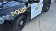 Human Remains Discovered in Thornton, Ontario: OPP Investigates