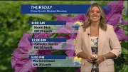Humid Conditions Linger Before Cold Front Brings Weekend Relief