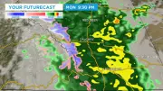 Intense Rain Continues in Calgary: Risks of Flooding, Falling Trees, Erosion