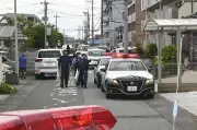 Japanese city captures bear that caused fear and school closures