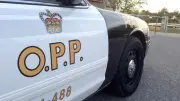 Man charged with dog abuse in Temiskaming Shores after public complaint