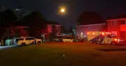 Man Critically Injured in North York Stabbing, Female Arrested at Scene