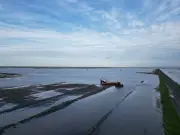Manitoba Farmers Face Devastating Crop Loss After Historic Storm