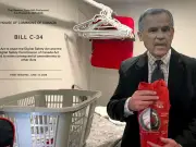 Mark Carney's Digital Safety Act: Nanny State Overreach?