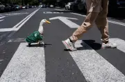 Merlin the Duck: Mexico City Street Duck Becomes World Cup Mascot
