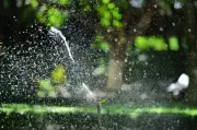Metro Vancouver to Impose Stricter Water Restrictions Next Week