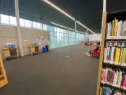 Millennium Library Incidents Drop at Start of Year: Report