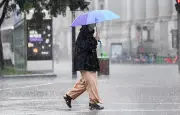 Montreal Under Severe Thunderstorm Watch as Heavy Rain Hits