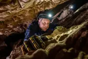 Most Controversial Fossil Site in Human Evolution Gets More Puzzling