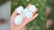 MPI Opens New Centre to Handle Storm Claims After Hail Damage