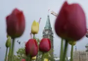MPs Pass Spending Bill, Head Home for Summer Break