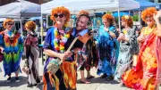 Mrs. Roper Look-Alikes Storm Downtown Orillia for Charity Walk