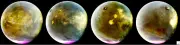 NASA Declares Mars Maven Spacecraft Dead After Six Months of Silence