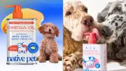 Native Fish Oil for Pets on Sale at Amazon: Reduces Shedding and Joint Pain