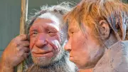 Neanderthals Thrived Before Extinction, Study Suggests