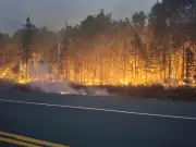 New Brunswick Launches Enhanced Wildfire Dashboard and Fire Watch Website