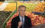 New Grocery Benefit Payments Start in Canada: Check Your Bank Account
