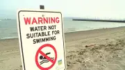 No Swimming at Several Vancouver Beaches Due to E. coli Contamination