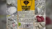 Northern Ont. traffic stop yields drugs worth $276K, cash, replica gun: OPP