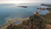 Nova Scotia Whale Sanctuary to Break Ground Despite Unsigned Crown Lease