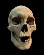 Oldest Known Plague Outbreak 5,500 Years Ago in Siberia
