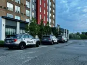 One Arrested After Stabbing at Etobicoke Shelter