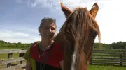 Ontario Horse Trainer Replaces Pressure with Consent in Documentary Project