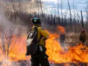 Opinion: Avoid Duplicate National Wildfire System, Says Expert