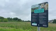Orléans Residents Fear Coyote Attacks After Teen Injured