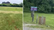 Ottawa Police Investigate Swastikas Spraypainted at Sandy Hill Field
