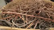 Over $22K in Copper Wire Stolen from Guelph Construction Site