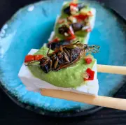 Over 40% of Quebec Study Participants Open to Eating Insects