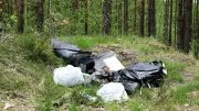 Over 6,600 kg of Garbage Dumped in County Forest Last Year