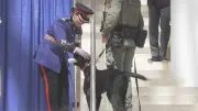 Police Dogs Graduate with Edmonton and Lacombe Officers