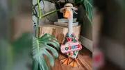 Porch Geese Fly Off Manitoba Shelves as Trend Takes Flight