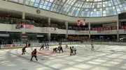 Puck Drops Sunday at West Edmonton Mall for Annual Brick Hockey Tourney