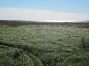 Quebec invests $44M to restore Lac Saint-Pierre wetlands