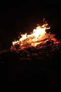 Quebec Lifts Ban on Open Fires in Forests as of June 13, 2026
