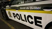 Quebec Police Contact Gun Owners to Identify Potential Domestic Violence Cases