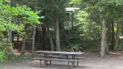 Record Season Prompts New Campsites at Ontario Provincial Park