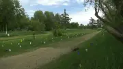Regina Cathedral Neighbourhood Volunteers Plant Hundreds of Trees to Expand Urban Forest