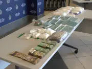 Regina fentanyl case details reveal fear, 'Donald Duck' drug boss