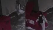 Regina Police Seek Arson Suspect in Garbage Bin Fire: Crime Stoppers