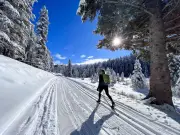 Rocky View County Plans to Boost Tourism with New Strategy